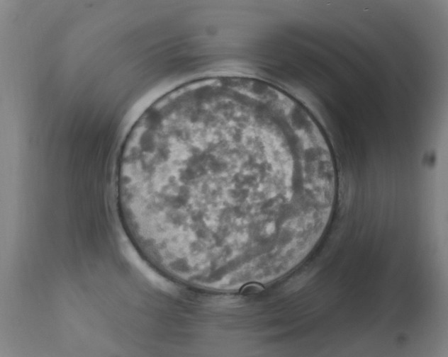 X0000113231387200910081355