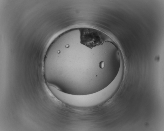 X0000113231388200910081355