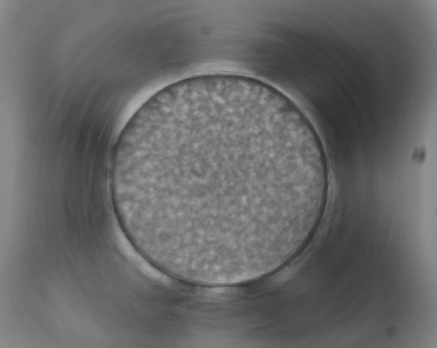 X0000113231390200910081355