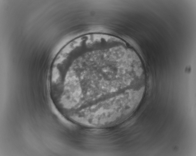 X0000113231391200910081355