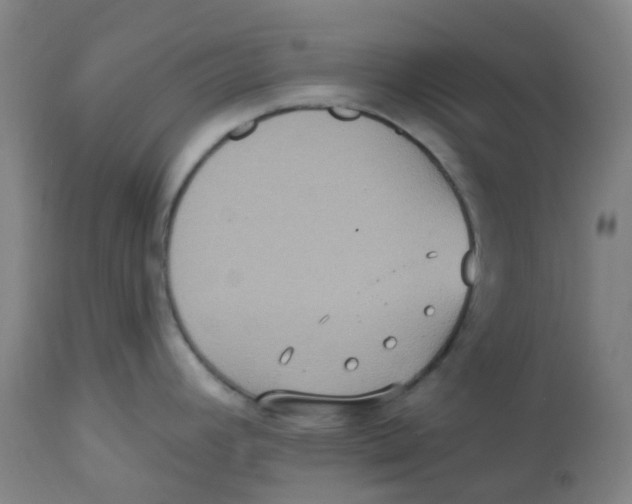 X0000113231392200910081355