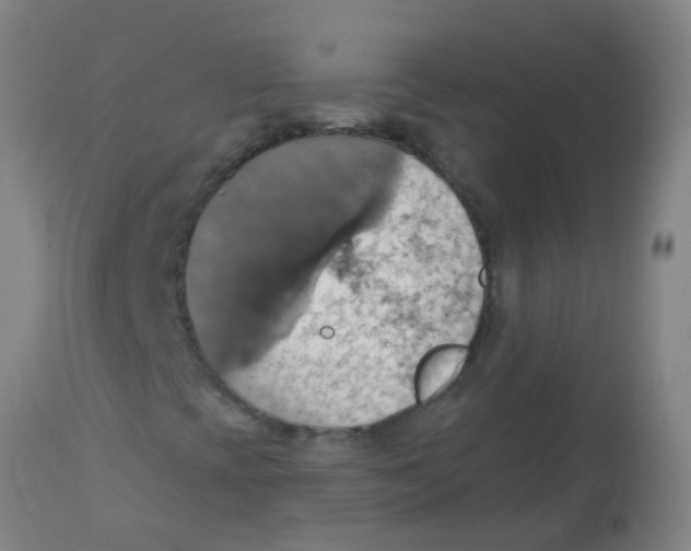 X0000113231393200910081354