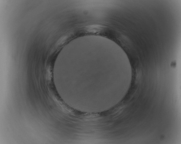 X0000113231394200910081354