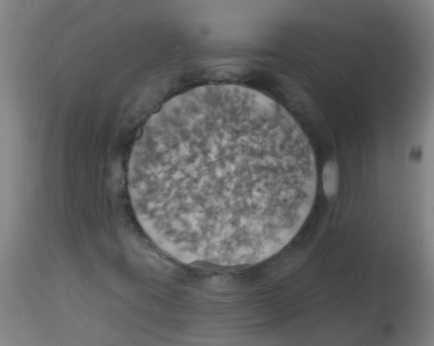 X0000113231395200910081354