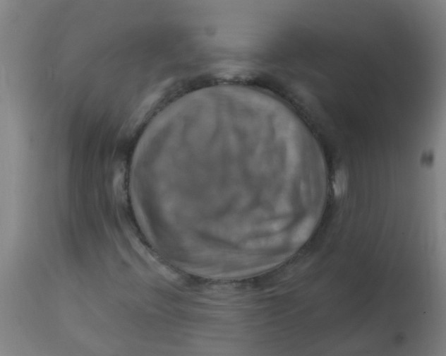 X0000113231396200910081354