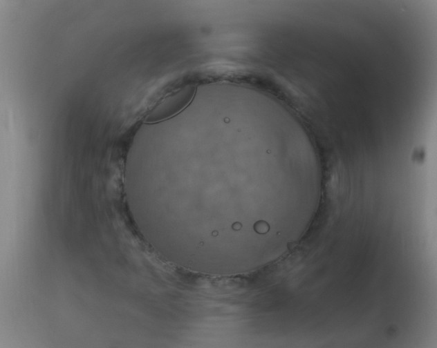 X0000113231397200910081354