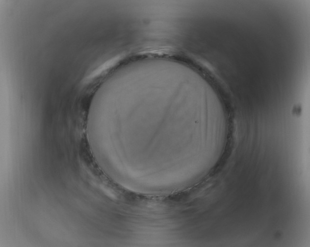 X0000113231399200910081354