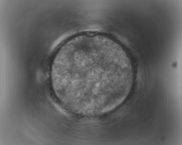 X0000113231400200910081354