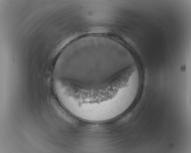 X0000113231401200910081354