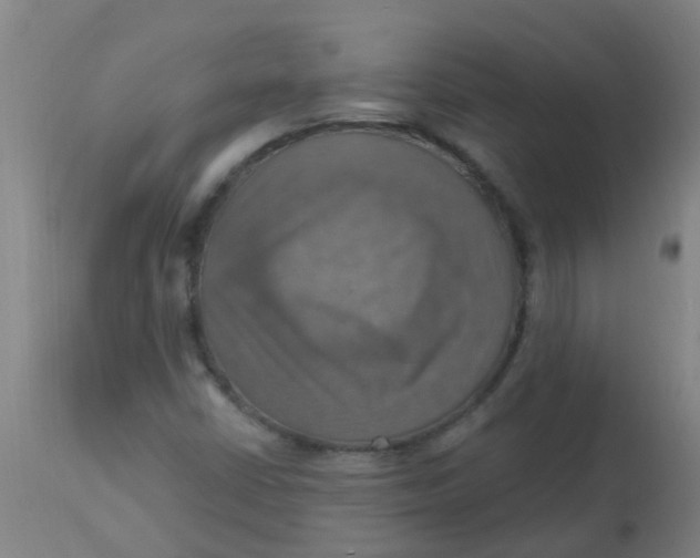 X0000113231402200910081354