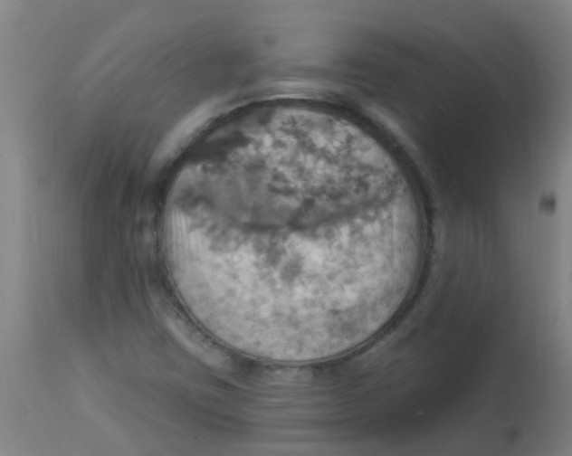 X0000113231403200910081354