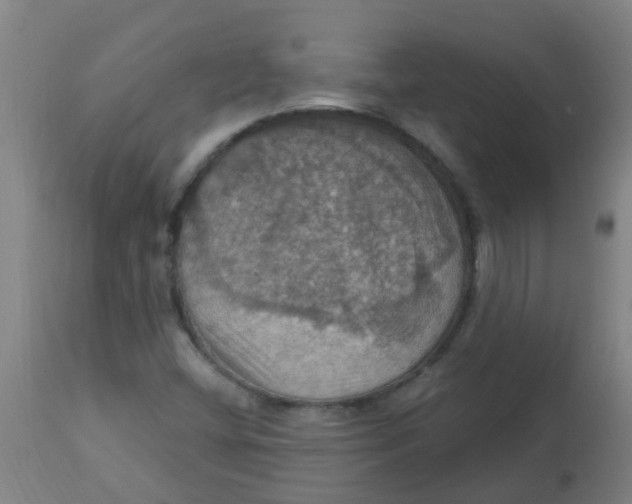 X0000113231404200910081354