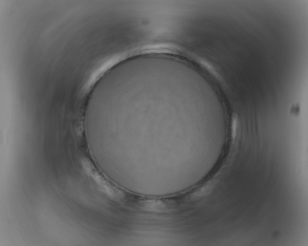 X0000113231405200910081354