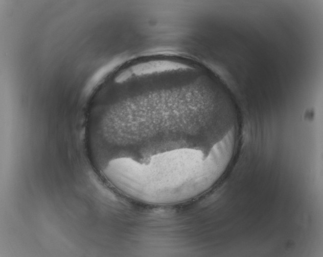 X0000113231406200910081354