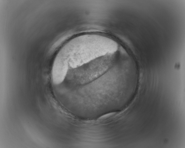 X0000113231407200910081354