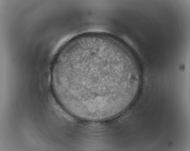 X0000113231408200910081354