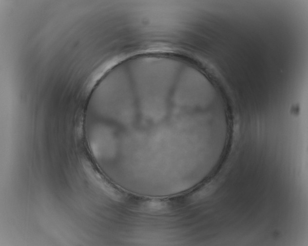 X0000113231409200910081354