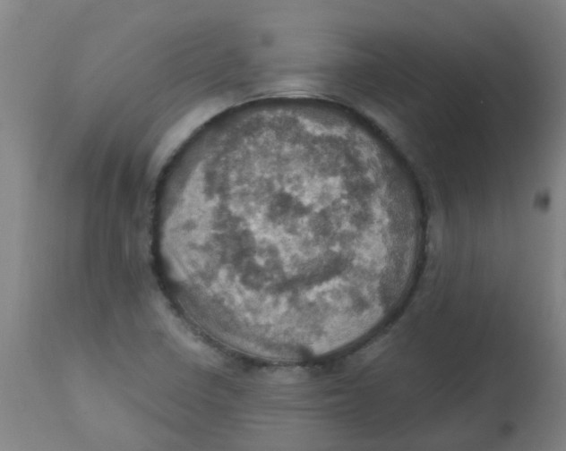 X0000113231410200910081354