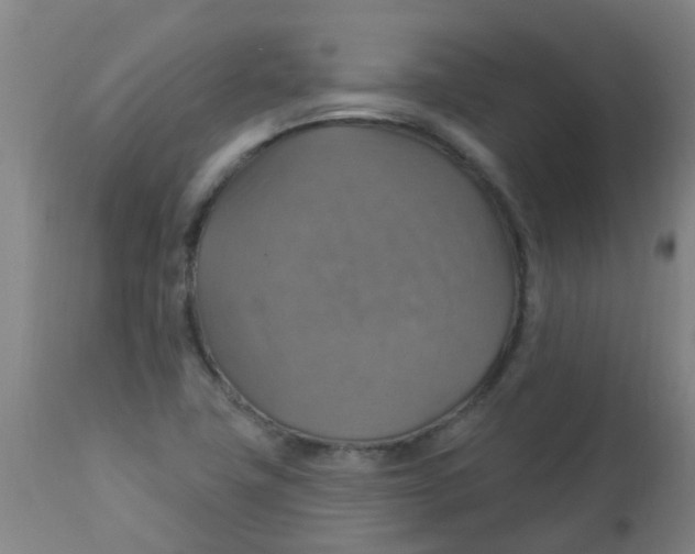 X0000113231411200910081354