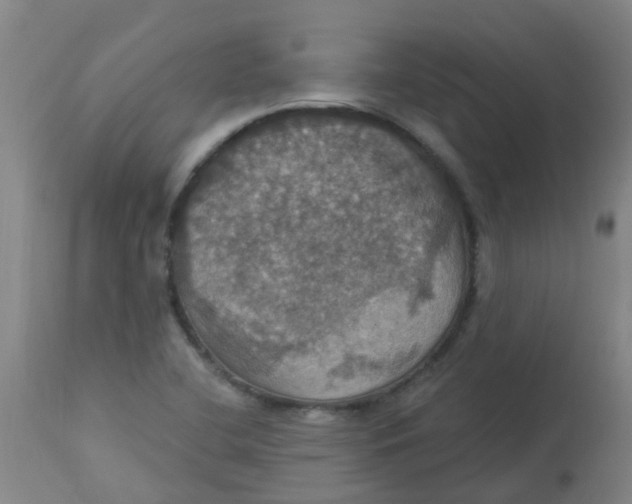 X0000113231412200910081354