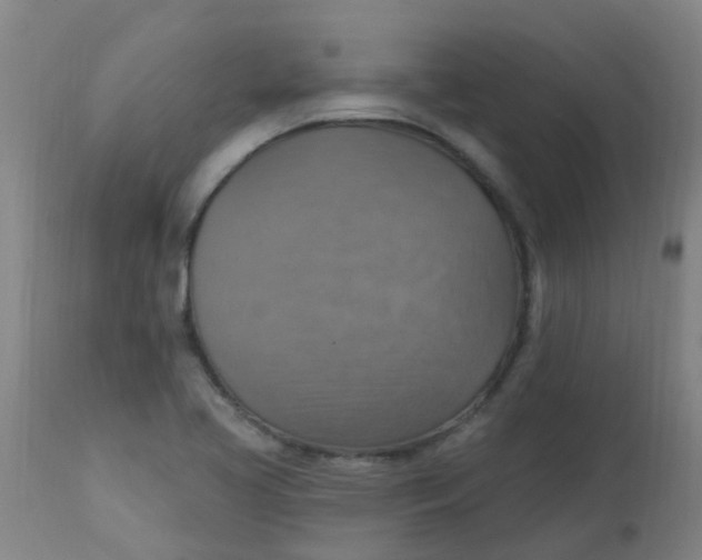 X0000113231413200910081354