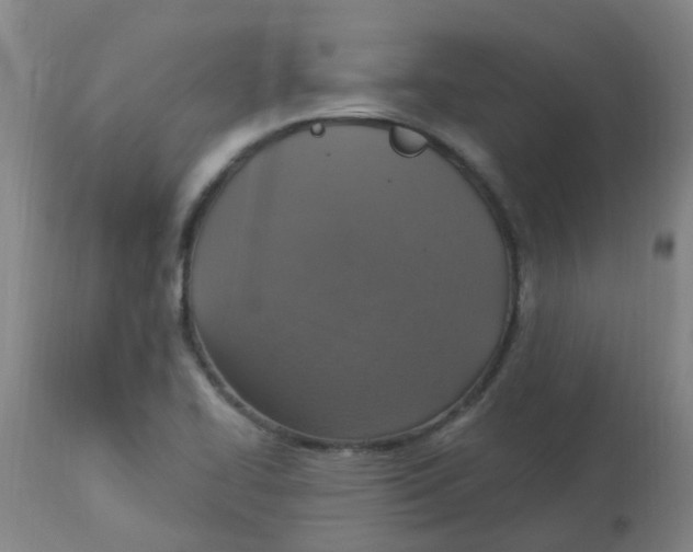 X0000113231414200910081354