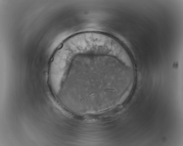 X0000113231415200910081354