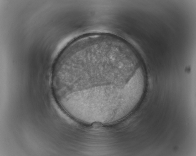 X0000113231416200910081354