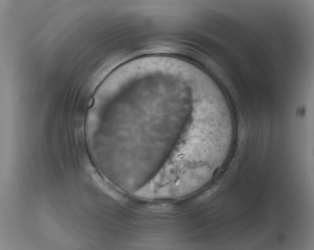 X0000113231417200910081354