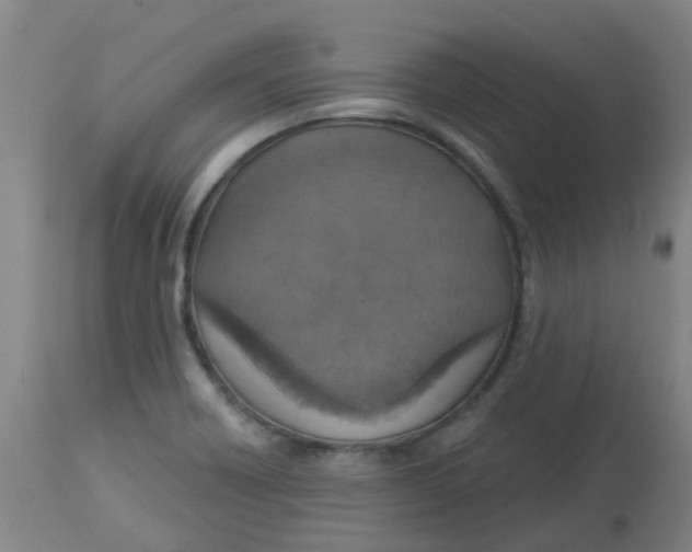 X0000113231418200910081354