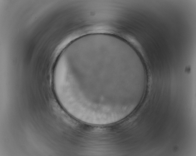 X0000113231419200910081354