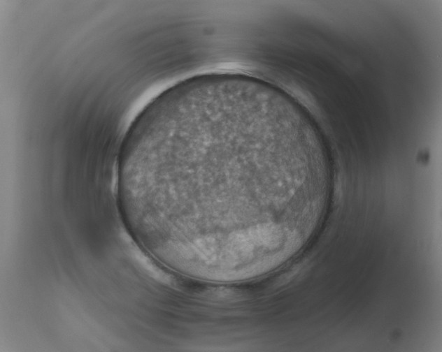 X0000113231420200910081354