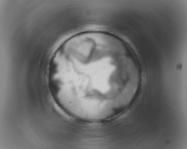 X0000113231421200910081354