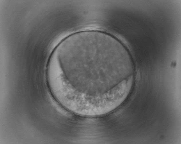 X0000113231423200910081354