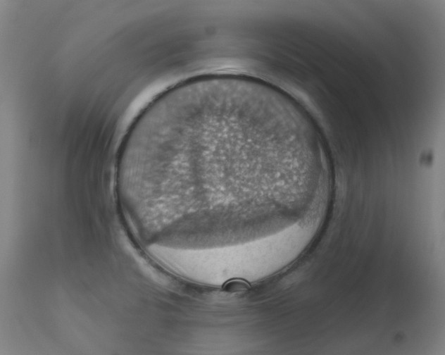 X0000113231424200910081354