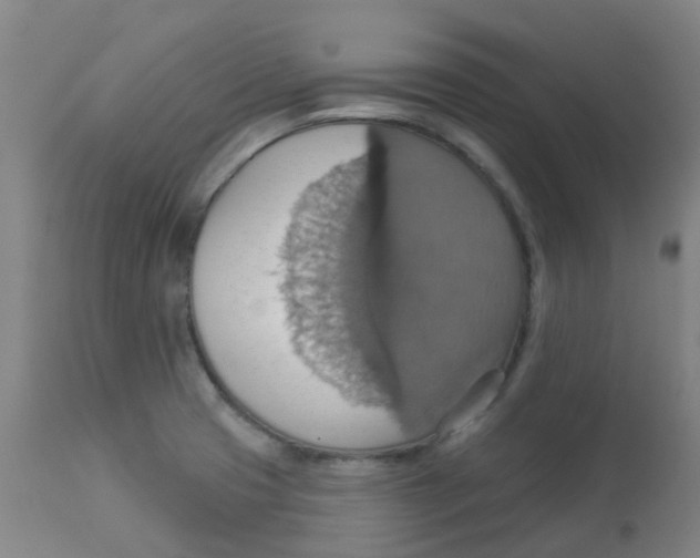 X0000113231425200910081354