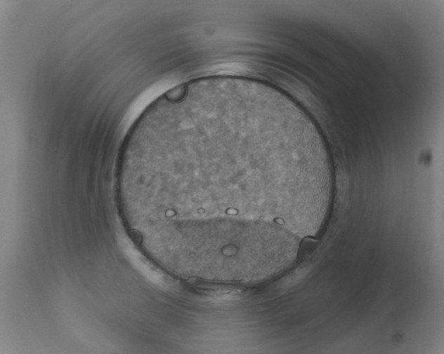 X0000113231426200910081354