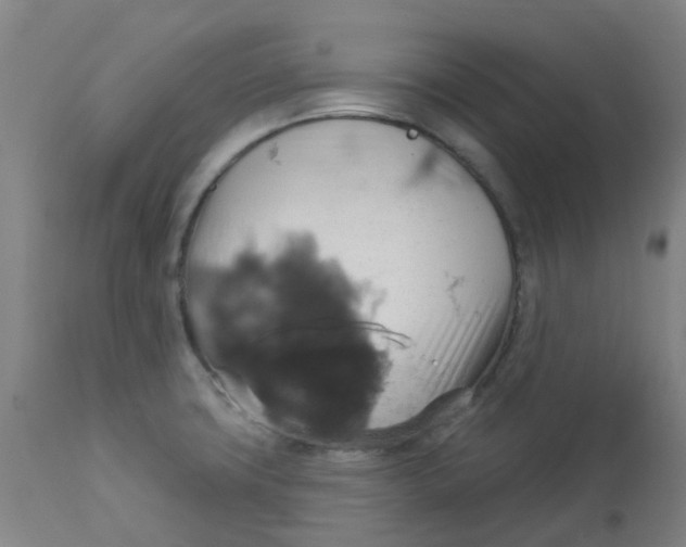 X0000113231427200910081354