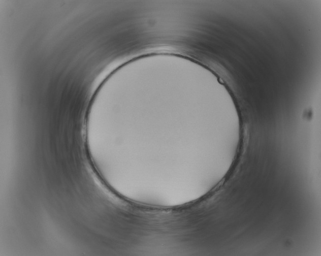 X0000113231428200910081354