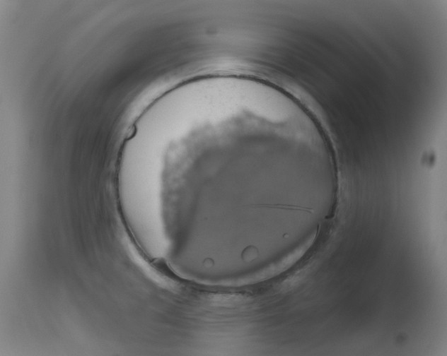 X0000113231429200910081354