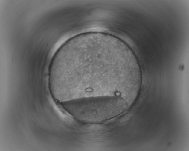 X0000113231430200910081355