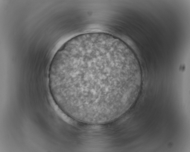 X0000113231431200910081355