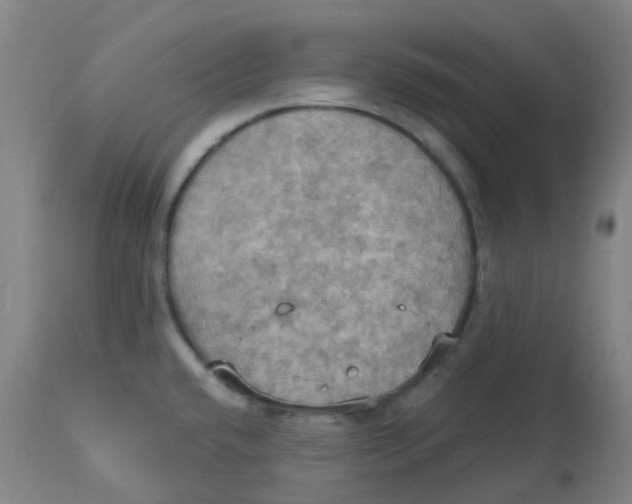 X0000113231432200910081355