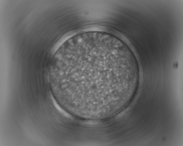 X0000113231433200910081355