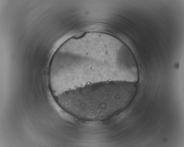 X0000113231434200910081355