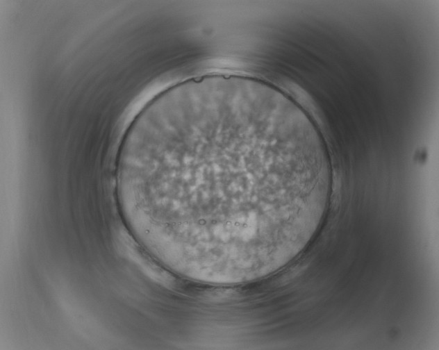 X0000113231435200910081355