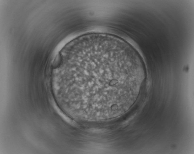 X0000113231437200910081355