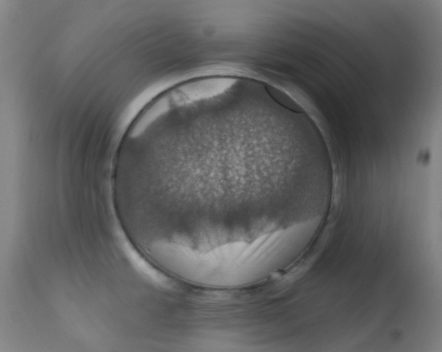 X0000113231438200910081355