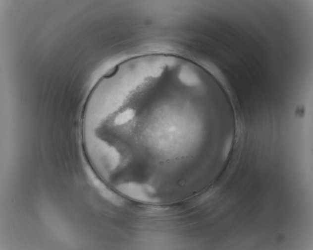 X0000113231439200910081355