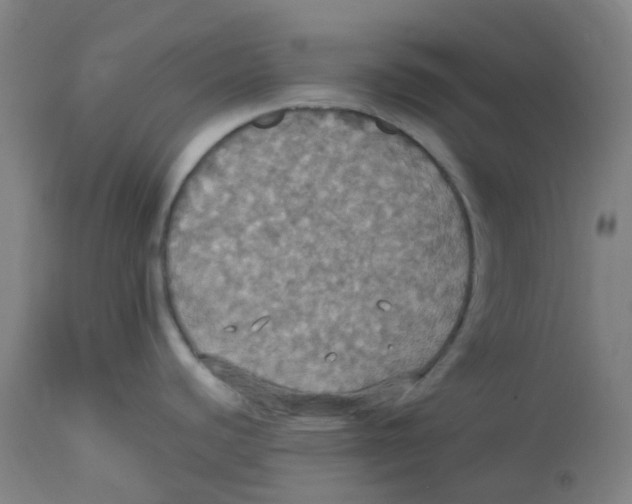 X0000113231440200910081355